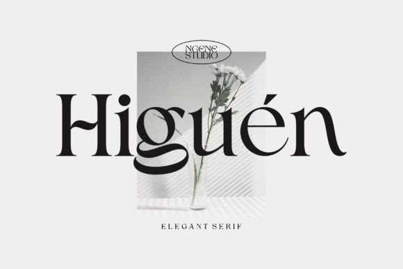Main preview of Higuen Font