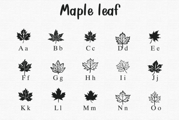 Thumbnail 3 of Maple Leaf Font