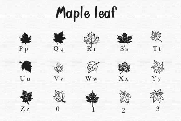 Thumbnail 4 of Maple Leaf Font