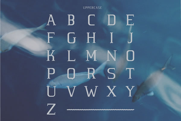 Thumbnail 2 of Marinha Font