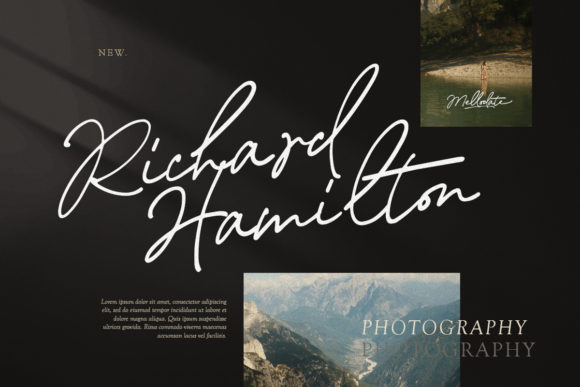 Thumbnail 2 of Mellodate Font