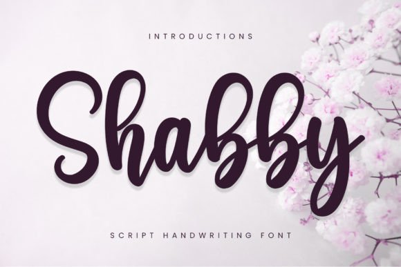 Preview of Shabby Font