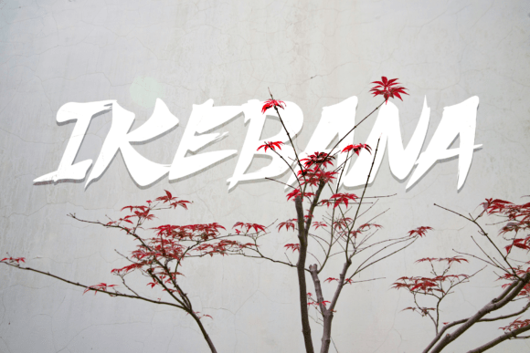 Thumbnail 3 of Shuriken Font
