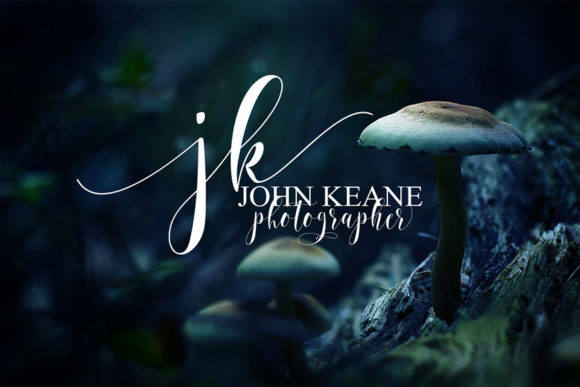 Thumbnail 4 of Still Shine Font