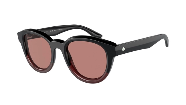 Giorgio Armani | AR 8181 5997/30