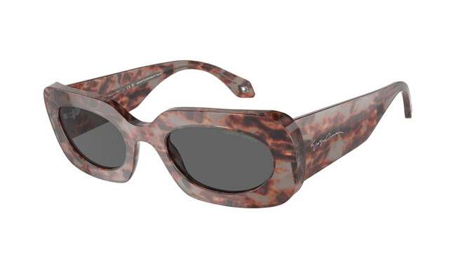 Giorgio Armani | AR 8182 5976/B1