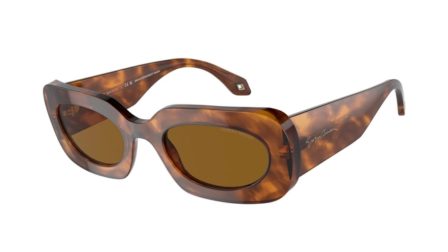 Giorgio Armani | AR 8182 5988/33