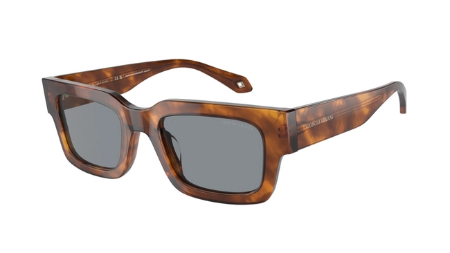 Giorgio Armani | AR 8184-U 5988/02