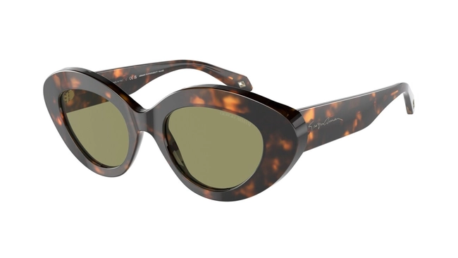 Giorgio Armani | AR 8188 5993/14
