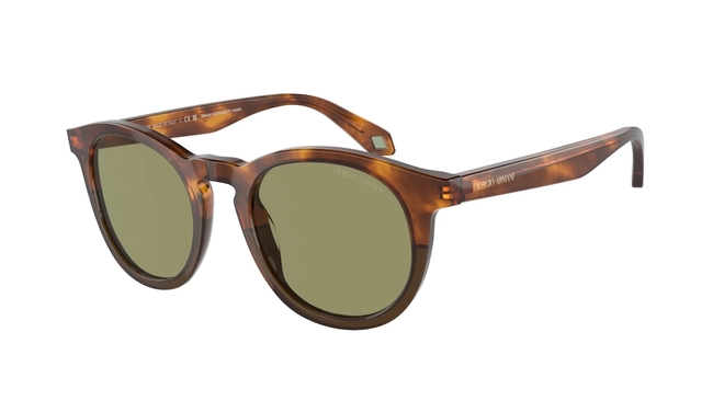 Giorgio Armani | AR 8192 5988/14