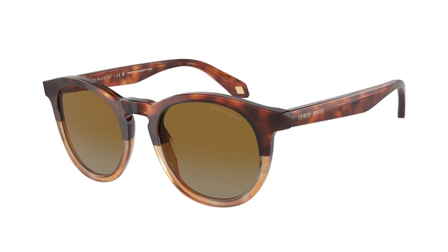 Giorgio Armani | AR 8192 6034/B2