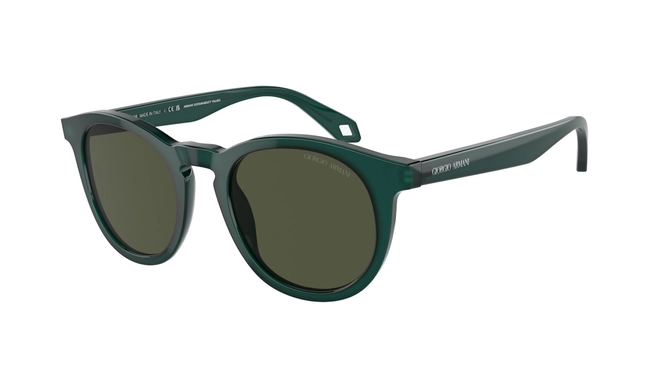 Giorgio Armani | AR 8192 6044/31