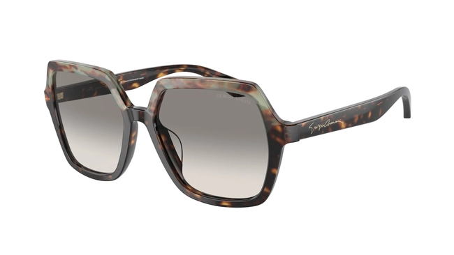 Giorgio Armani | AR 8193-U 5879/32