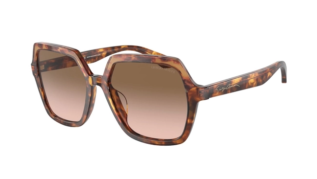 Giorgio Armani | AR 8193-U 6033/51
