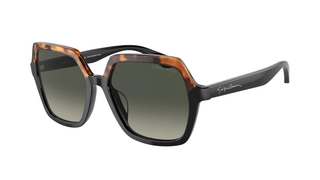 Giorgio Armani | AR 8193U 5875/19