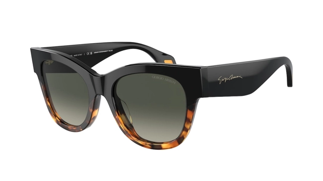 Giorgio Armani | AR 8195-U 5975/19
