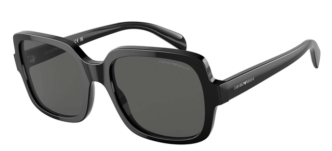 Emporio Armani | EA 4195 5017/87