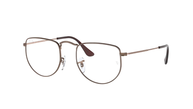 Ray-Ban Elon | RX 3958V 3120