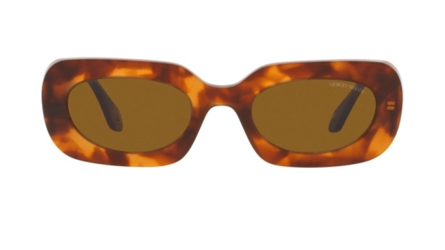 Giorgio Armani | AR 8182 5988/33