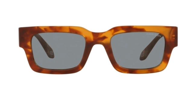 Giorgio Armani | AR 8184-U 5988/02