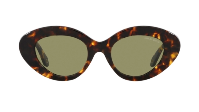 Giorgio Armani | AR 8188 5993/14