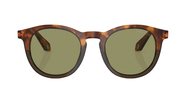 Giorgio Armani | AR 8192 5988/14