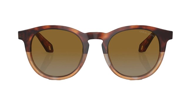 Giorgio Armani | AR 8192 6034/B2