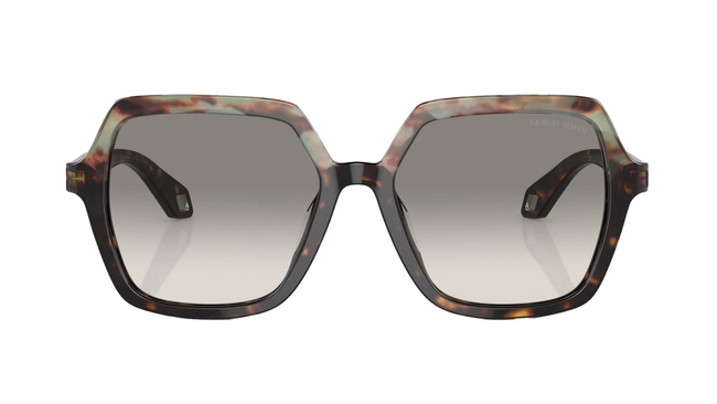 Giorgio Armani | AR 8193-U 5879/32
