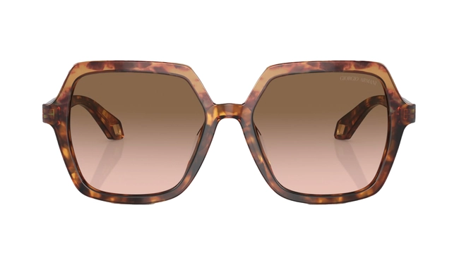 Giorgio Armani | AR 8193-U 6033/51
