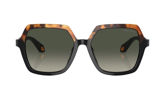 Giorgio Armani | AR 8193U 5875/19