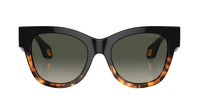 Giorgio Armani | AR 8195-U 5975/19