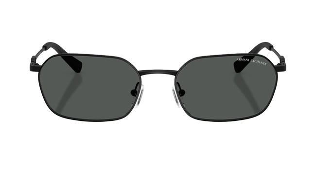 Armani Exchange | AX 2056S 600087