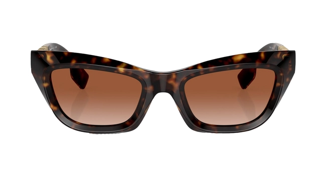 Burberry | BE 4409 3002/13