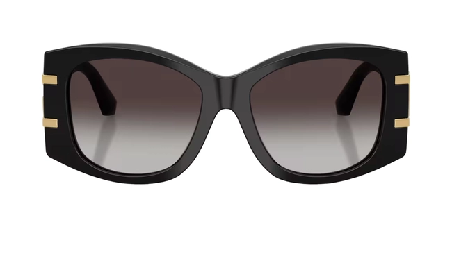 Dolce & Gabbana | DG 4501 501/8G