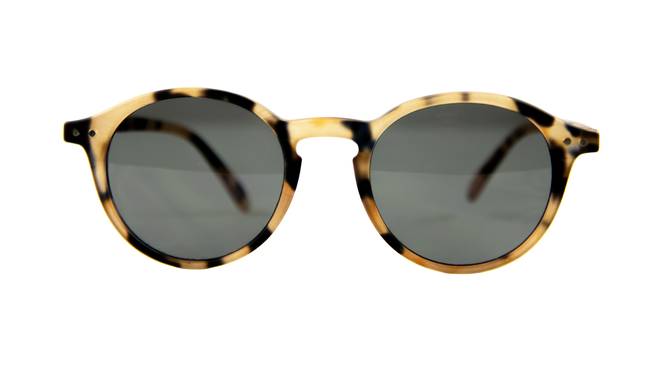 IZIPIZI | #D SUN Light Tortoise