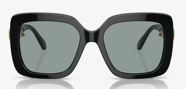 SWAROVSKI | SK 6001 1001/1