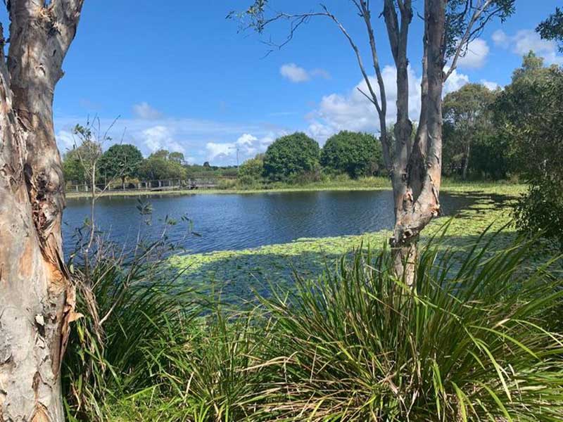 The view that inspired Caloundra’s outdoor learning in nature with children.