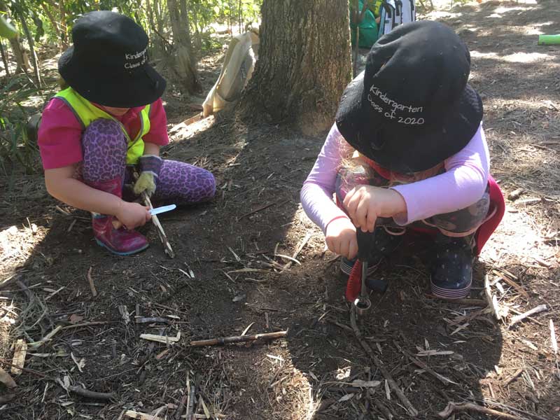  Children participate in outdoor learning experiences. 