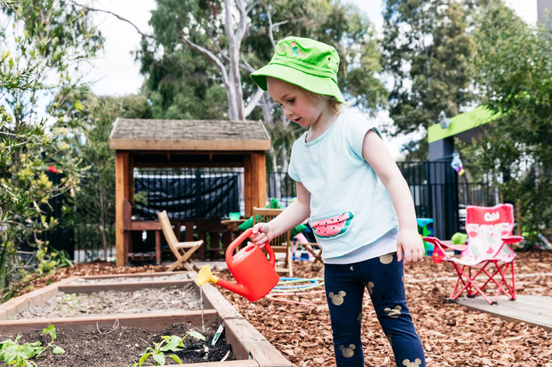 Sustainable Christmas crafts and ideas can use resources from the garden.