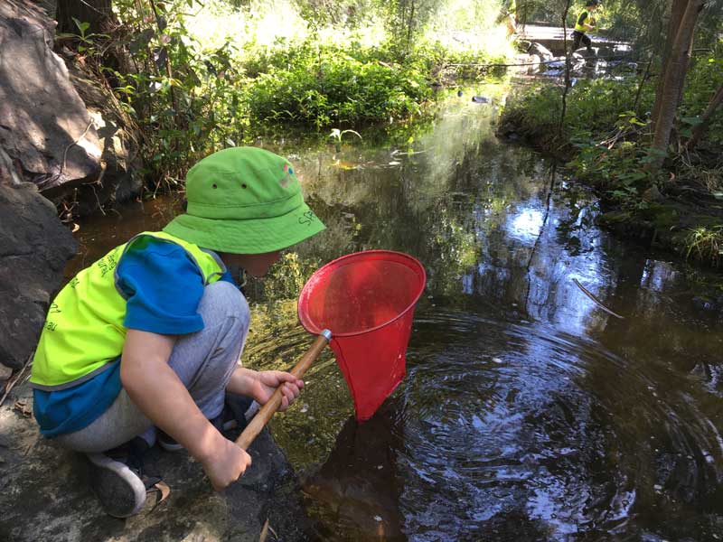 Child discovers the benefits of the Bush Kindy program