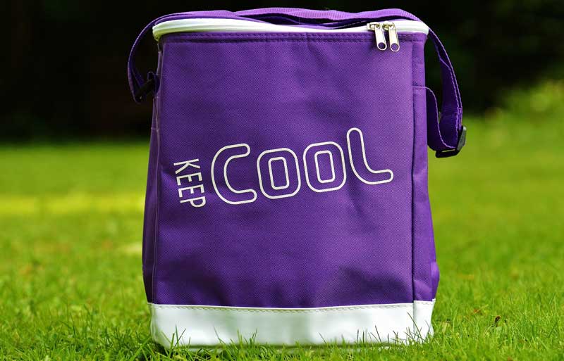 A cooler bag with an ice brick helps with breast milk storage and transportation.