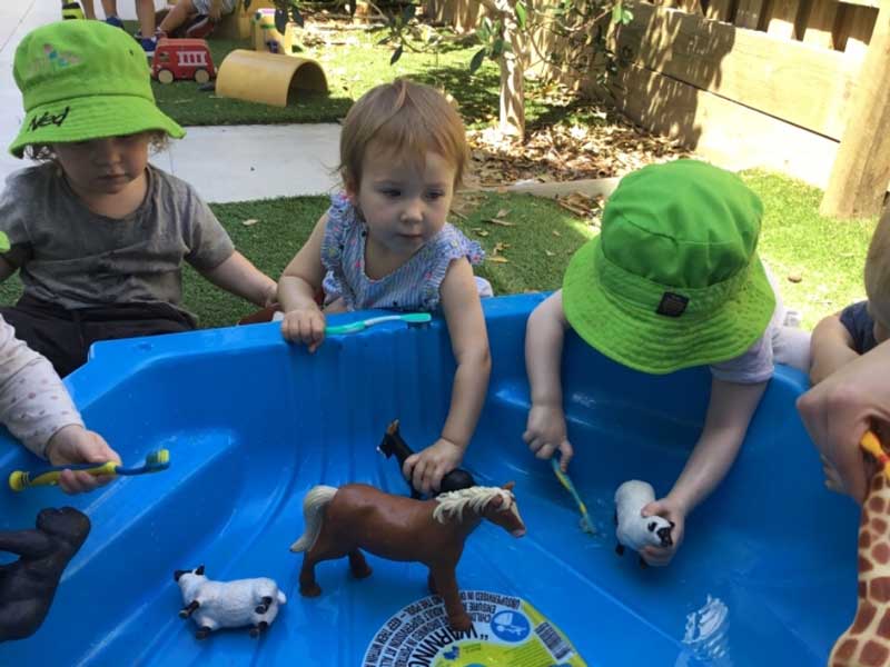 Children’s bath toys, even those made of harder plastics and rubber should be cleaned regularly.