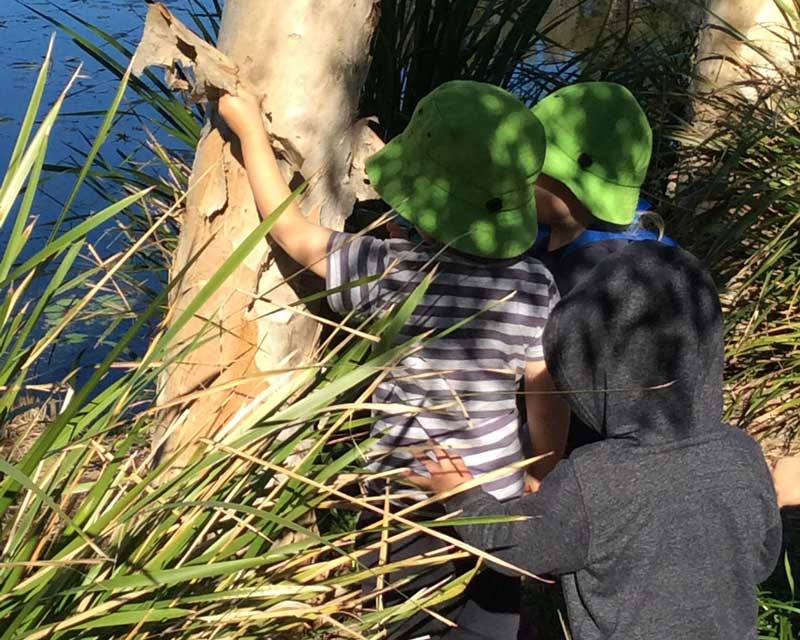 Bushwalking with toddlers on Bush Kindy excursions.