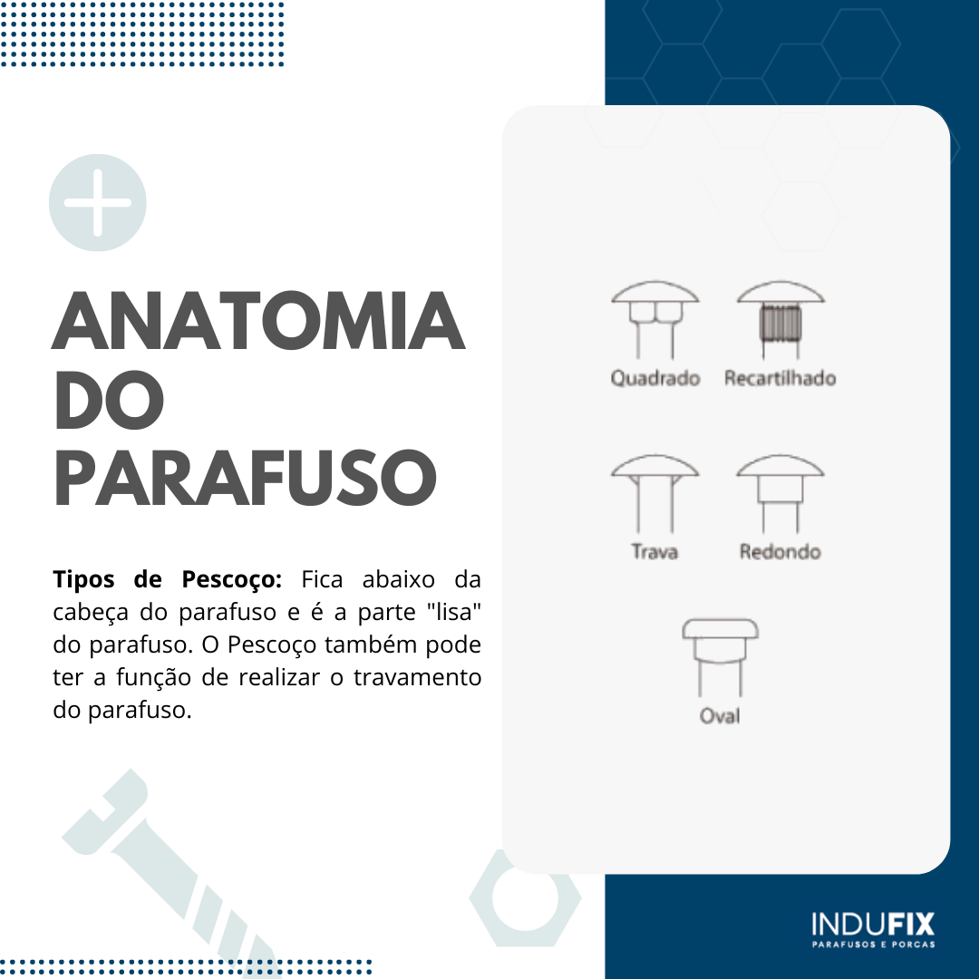 Anatomia do parafuso