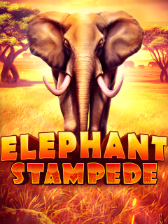 Elephant Stampede by Ruby Play