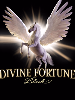 Divine Fortune Black by Evolution