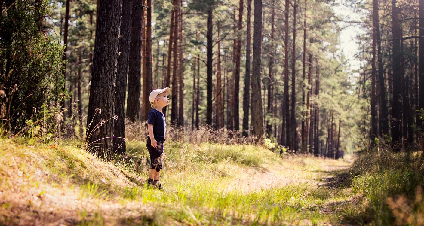Natur erkunden –  Was Kinder im Wald erleben können