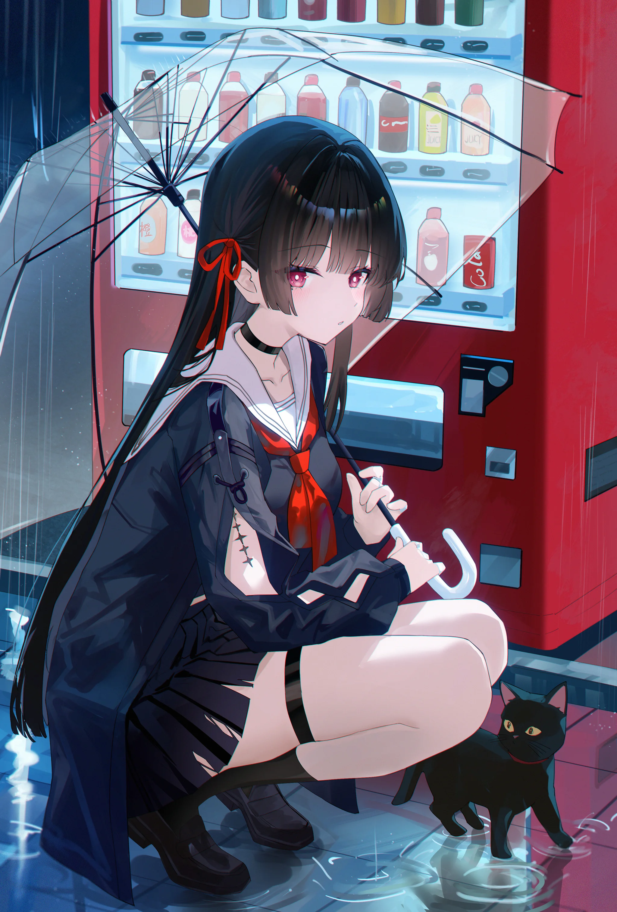 1girl, cat, squatting