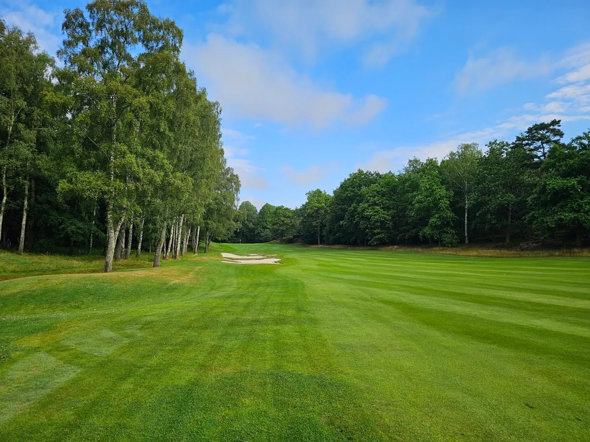 Delsjö Golfkrog