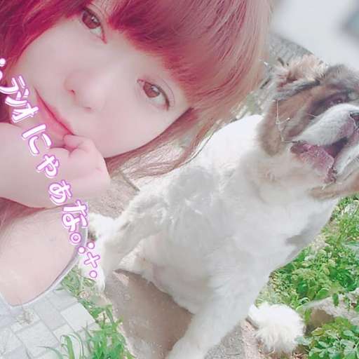🐧にゃぁな🐷